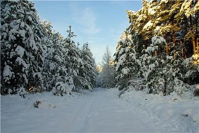 《异度神剑3》第四弹DLC“新的未来”公布 4月26日发售